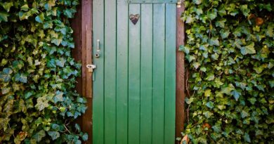 door, toilet door, peace and quiet