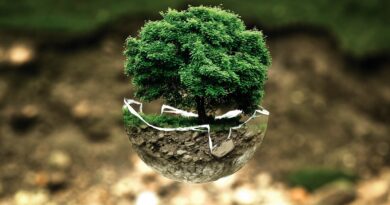 environmental protection, environment, atmosphere