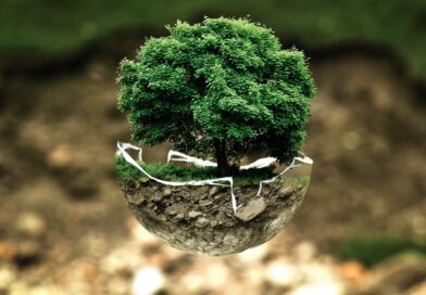 environmental protection, environment, atmosphere