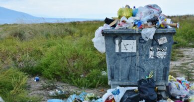 garbage, waste container, waste