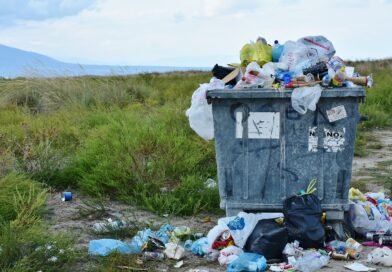 garbage, waste container, waste