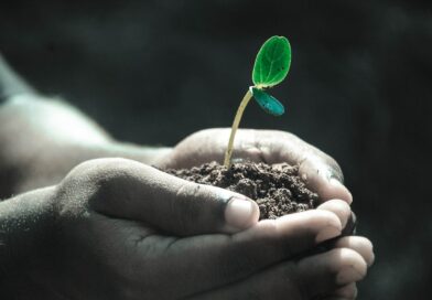 hands, macro, plant