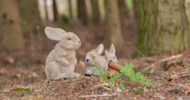 small, cute, sweet